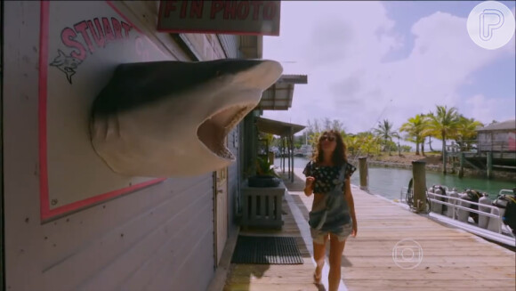 Isis Valverde aceitou o desafio do 'Domingão do Faustão' e nadou com tubarões nas Bahamas. 'Estava com medo dele comer a minha mão', explicou a atriz, que durante o mergulho ficou toda encolhida