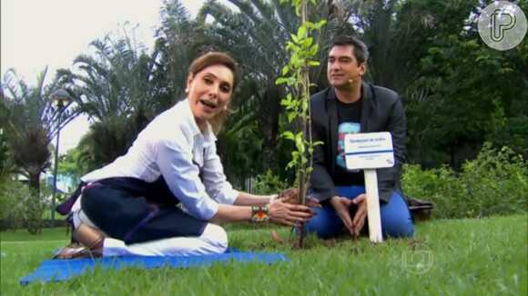 Christiane Torloni foi quem plantou a árvore em 2014 e a dedicou à memória de Paulo