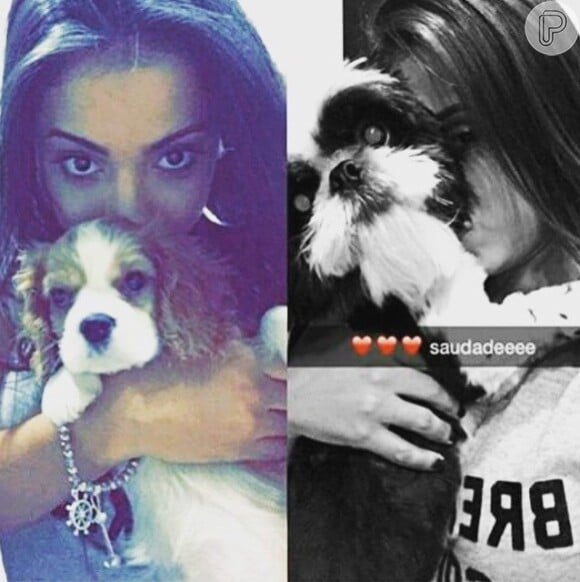 A cantora Anitta é dona de dois cachorros, Alfredo e Olavinho