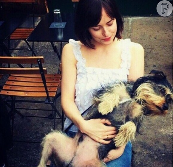 Dakota Johnson, de 'Cinquenta Tons de Cinza', é dona de um cachorro