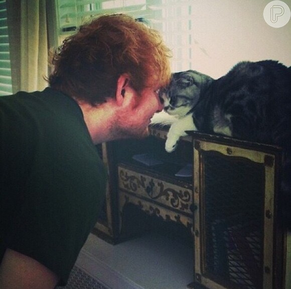 O cantor Ed Sheeran adora compartilhar fotos ao lado de seus gatos