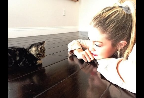 A modelo Gigi Hadid encontrou a gatinha Cleo em uma obra e a adotou no mesmo dia