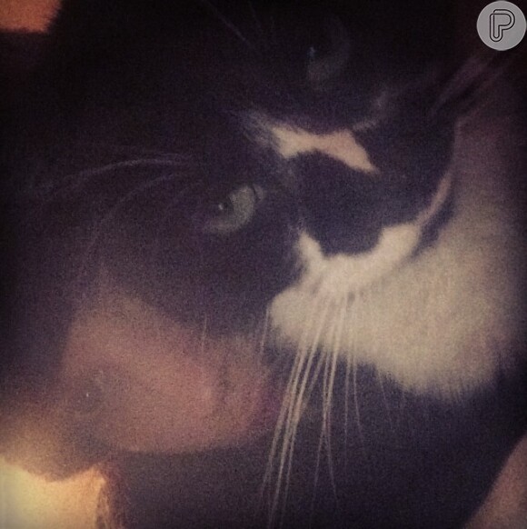 Lily James, protagonista do filme 'Cinderela', posou com seu gatinho no Instagram
