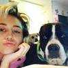 Miley Cyrus tem diversos bichos de estimação. A cantora é dona de dois cachorros e de um gatinho