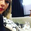 Taylor Swift também é amante dos felinos. A cantora é dona de Olivia e Meredith e adora compartilhar fotos ao lado das gatas
