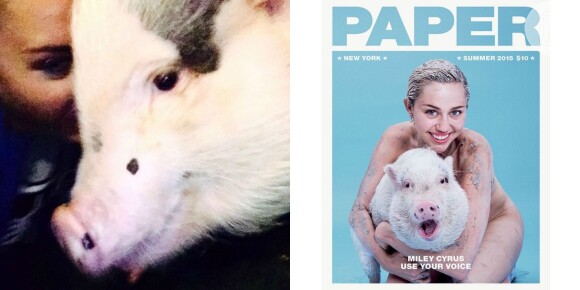 A cantora também tem uma porca, a Bubba Sue, que posou ao lado da dona para a capa da revista 'Paper'
