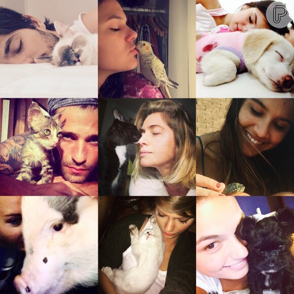 O amor está na rede! Veja fotos dos pets dos famosos que enchem as redes sociais com muita fofura