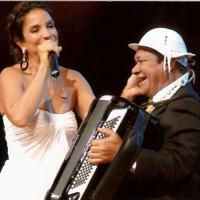 Dominguinhos: Elba Ramalho, Ivete Sangalo e outros famosos se despedem do cantor