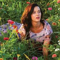 Katy Perry sobre pensamentos suicidas após divórcio de Russell Brand: 'Difícil'