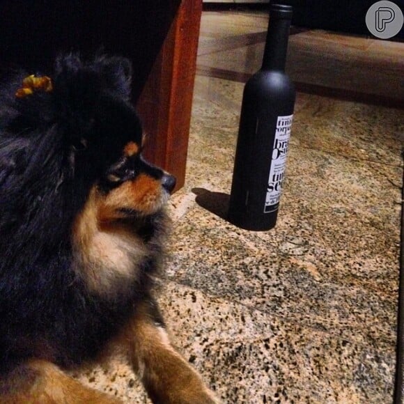 Isis Valverde publicou uma foto do seu chachorro e de uma garrafa de vinho na noite deste sábado e escreveu legendou a imagem com uma carinha piscando o olho