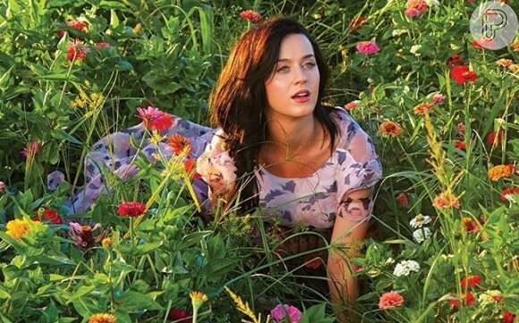 Katy Perry foi eleita a cantora que mais vendeu cds em sua semana de lançamento em 2013 com o álbum 'Prism'