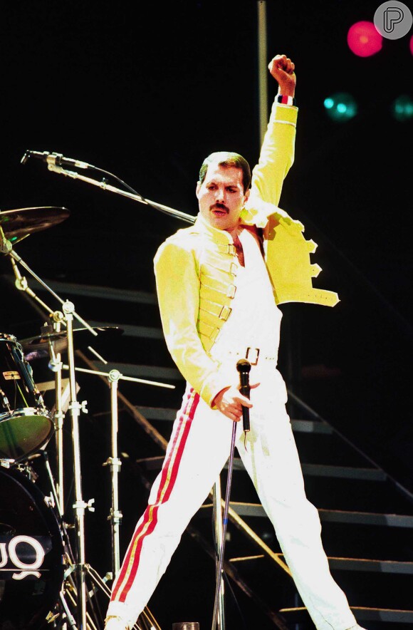A cinebiografia será sobre o cantor Freddie Mercury, que morreu em 1991 com apenas 45 anos, em decorrência de complicações causadas pelo vírus HIV