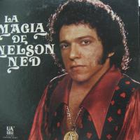 Morre o cantor Nelson Ned, aos 66 anos, vítima de pneumonia