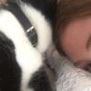 Marina Ruy Barbosa ganhou carinho do gato de estimação, João, na cama, nesta segunda-feira, 29 de maio de 2017