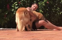 Paula Fernandes 'flagrou' o namorado, Thiago Arancam, em momento de carinho com seu cachorro de estimação, Mozart, nesta quinta-feira, 8 de junho de 2017
