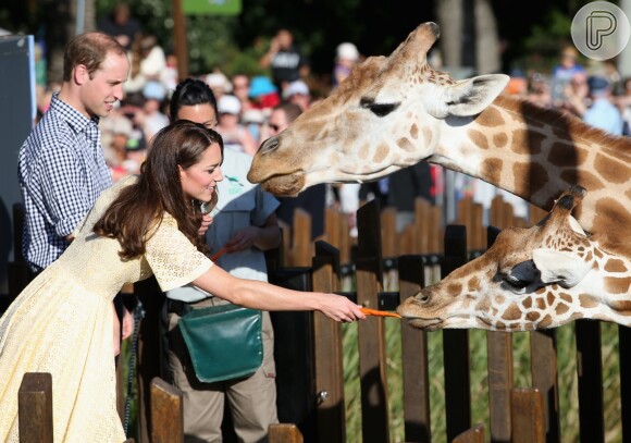 Kate Middleton também se aventurou a alimentar girafas no zoo de Sydney