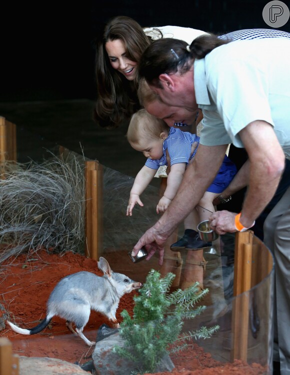 Kate Middleton e príncipe William apresentadram o príncipe George Alexander Louis ao coelho austráliano que leva o seu nome