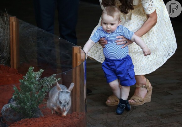 O príncipe George Alexander Louis ficou empolgado quando viu o roedor