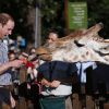 O príncipe William se assustou com a língua da girafa ao oferece-la uma cenoura