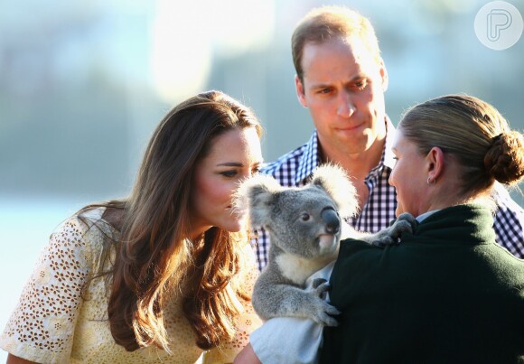Kate Middleton cheirou o coala e percebeu que ele exala eucalípto por conta de sua alimentação