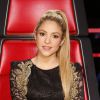 Shakira não será jurada na sétima temporada do 'The Voice'