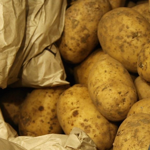 Colocar as leguminosas na refeição é uma ótima opção para quem quer abrir mão da proteína animal