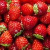 Com potencial antioxidante, o morango, assim com as outras frutas vermelhas, auxilia na redução de inchaço e de peso corporal na menopausa