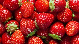 Menopausa e alimentação: nutricionista Patricia Davidson dá dicas para a etapa