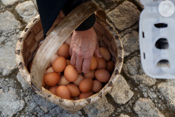 Diferentemente das claras de ovos, o produto contém baixos valores nutritivos