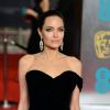 A advogada de Angelina Jolie diz que Brad Pitt não contribuiu com as contas dos filhos: 'Angelina teve que arcar com a maioria deles sem sua contribuição nos últimos dois anos'