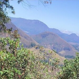 'Nos dois primeiros dias eu senti uma coisa bem esquisita, senti um certo ciuminho da comida. Doido isso, né?', entregou Débora Nascimento