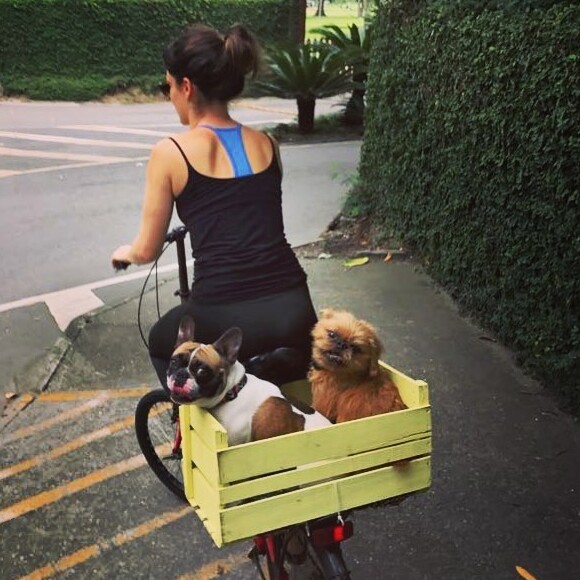 Apaixonada por animais, Bianca Bin publicou foto com Chicão e Gustavo