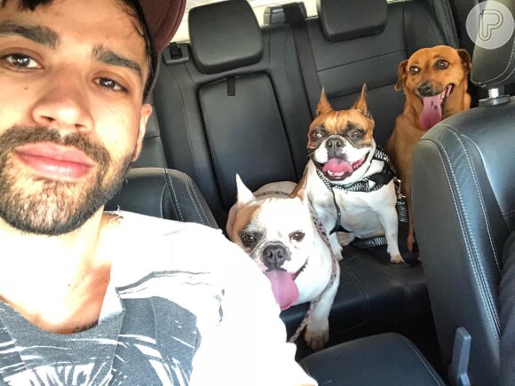 O cantor sertanejo Gusttavo Lima tem três cachorros em casa