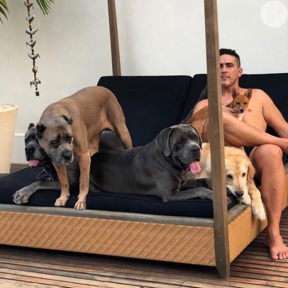 André Marques compartilhou um clique com seus cinco cachorros