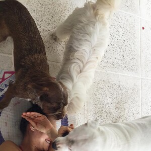 Débora Nascimento está no time dos que aproveitam as suas horas de descanso em companhia dos seus pets