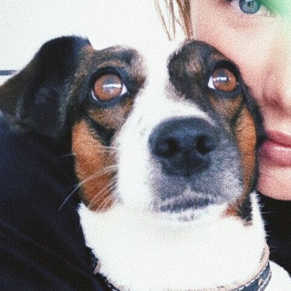 Fiorella Mattheis sempre mostra fotos dos animais de estimação nas redes sociais