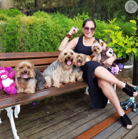 Susana Vieira não esconde o amor por animais e é muito ligada a seus cachorros
