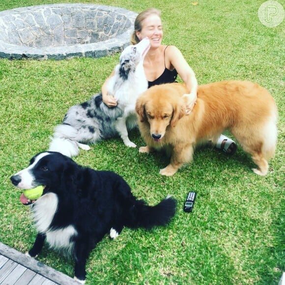 Angélica é apaixonada por pets e é dona de vários cães