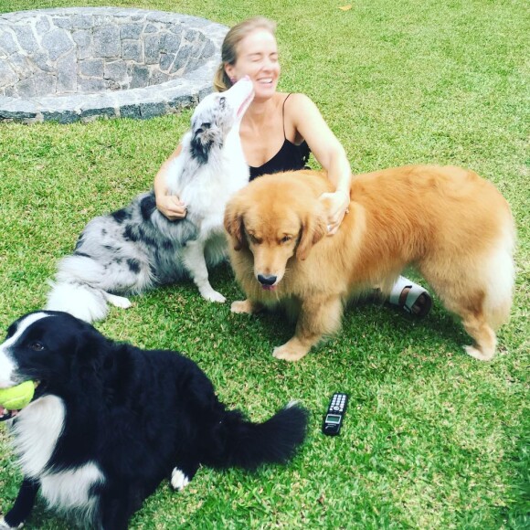 Angélica é apaixonada por pets e é dona de vários cães