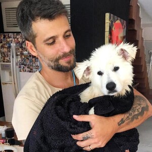 Bruno Gagliasso roubou a cena com um de seus pets em foto na web