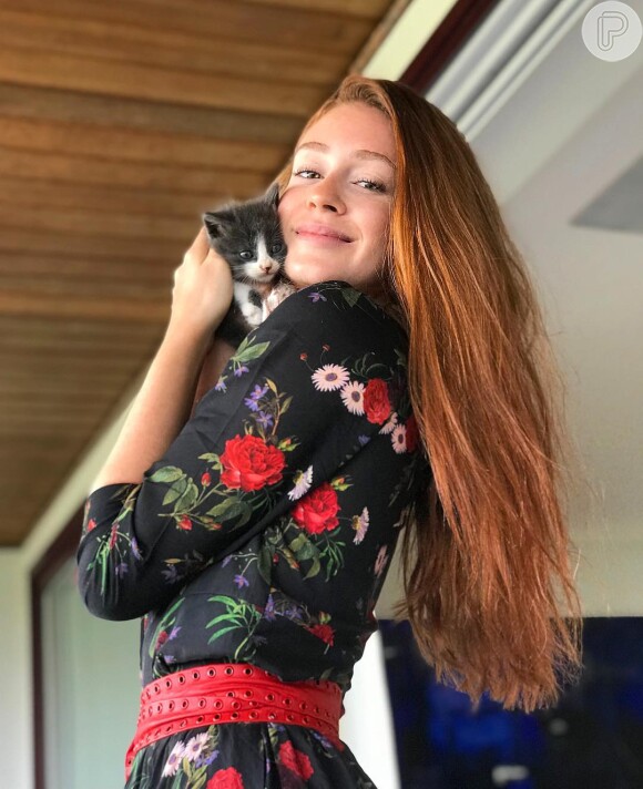 Marina Ruy Barbosa sempre posta foto dos seus gatos na web