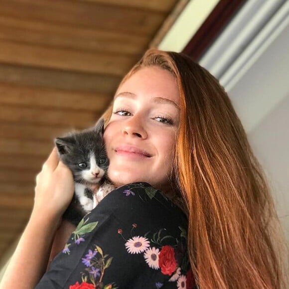 Marina Ruy Barbosa sempre posta foto dos seus gatos na web