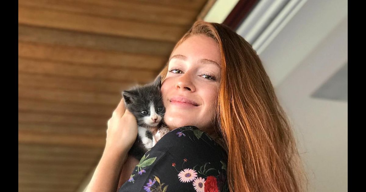 Marina Ruy Barbosa sempre posta foto dos seus gatos na web ...