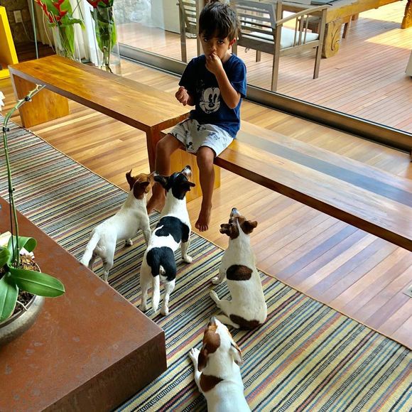 Marcio Garcia já publicou foto divertida dos seus pets com o filho