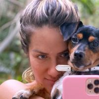 Cachorros e gatos dos famosos! 100 fotos de pets das celebs que encantam na web