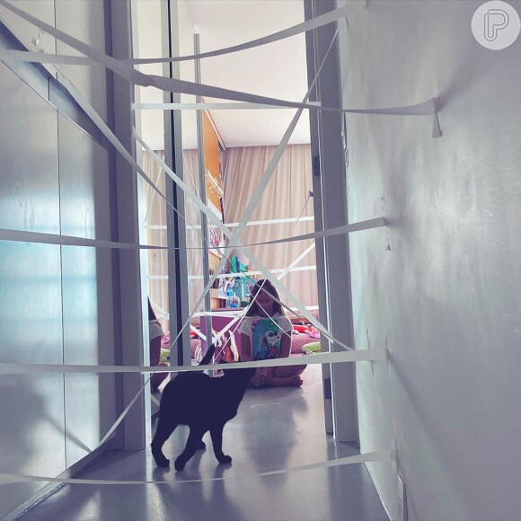 Grazi Massafera fotografa do gato que Caio Castro deu de presente com a filha, Sofia
