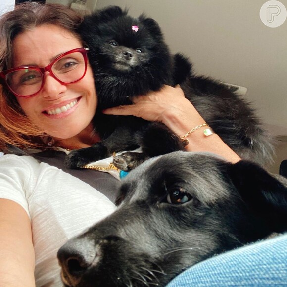 Giovanna Antonelli adotou uma cadelinha em julho de 2020 para deixar a família ainda mais animada