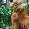 Juliana Paes é rainha de bateria da Acadêmicos do Grande Rio e sua fantasia no Carnaval 2019 veio representando uma ave em extinção e foi apelidade de 'Ave do Paraíso'. 