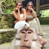 Anitta compartilhou fotos divertidas em seu Instagram, como encontro com macacos, durante passeio em Bali