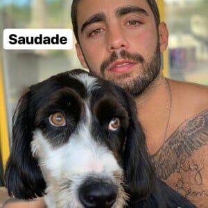 Anitta compara namorado com cachorro Tobias: 'Trouxe meu doguinho para dormir comigo e digo que ele é a cara do Pedro'